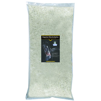 Equine Salt 22lbs Bag
