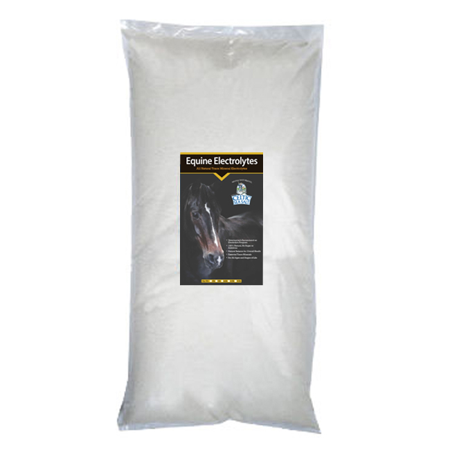 Equine Salt 55lbs Bag
